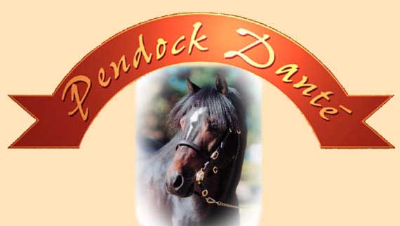 Pendock Dante